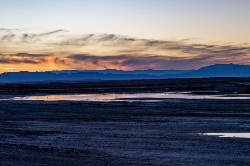 SALTON SEA, CA - DECEMBER 16, 2022: Dusk settles over a 4,110-acre project to create wetlands as a habitat for fish and birds at the southern end of the Salton Sea on December 16, 2022 in Salton Sea, California. The Salton Sea is shrinking.(Gina Ferazzi / Los Angeles Times)