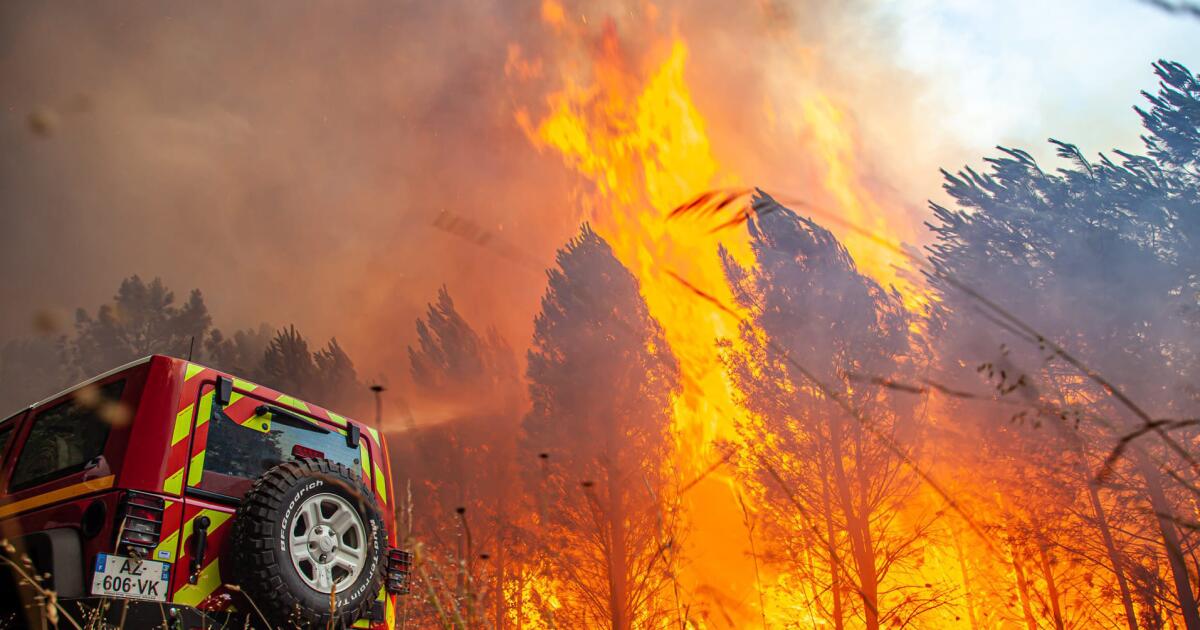 Fortes incêndios florestais em França, Espanha e Portugal