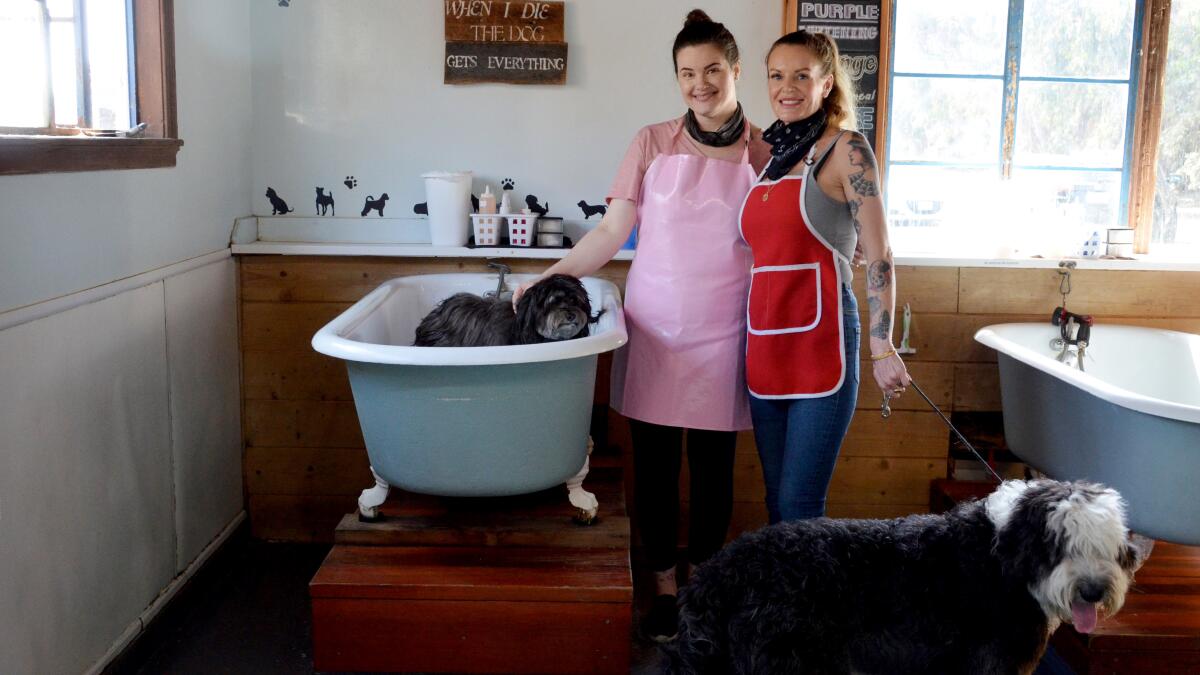 Penny's Pup Wash groomers, Lindsay Brown, left and Marylou Kaegebein, with canine clients.