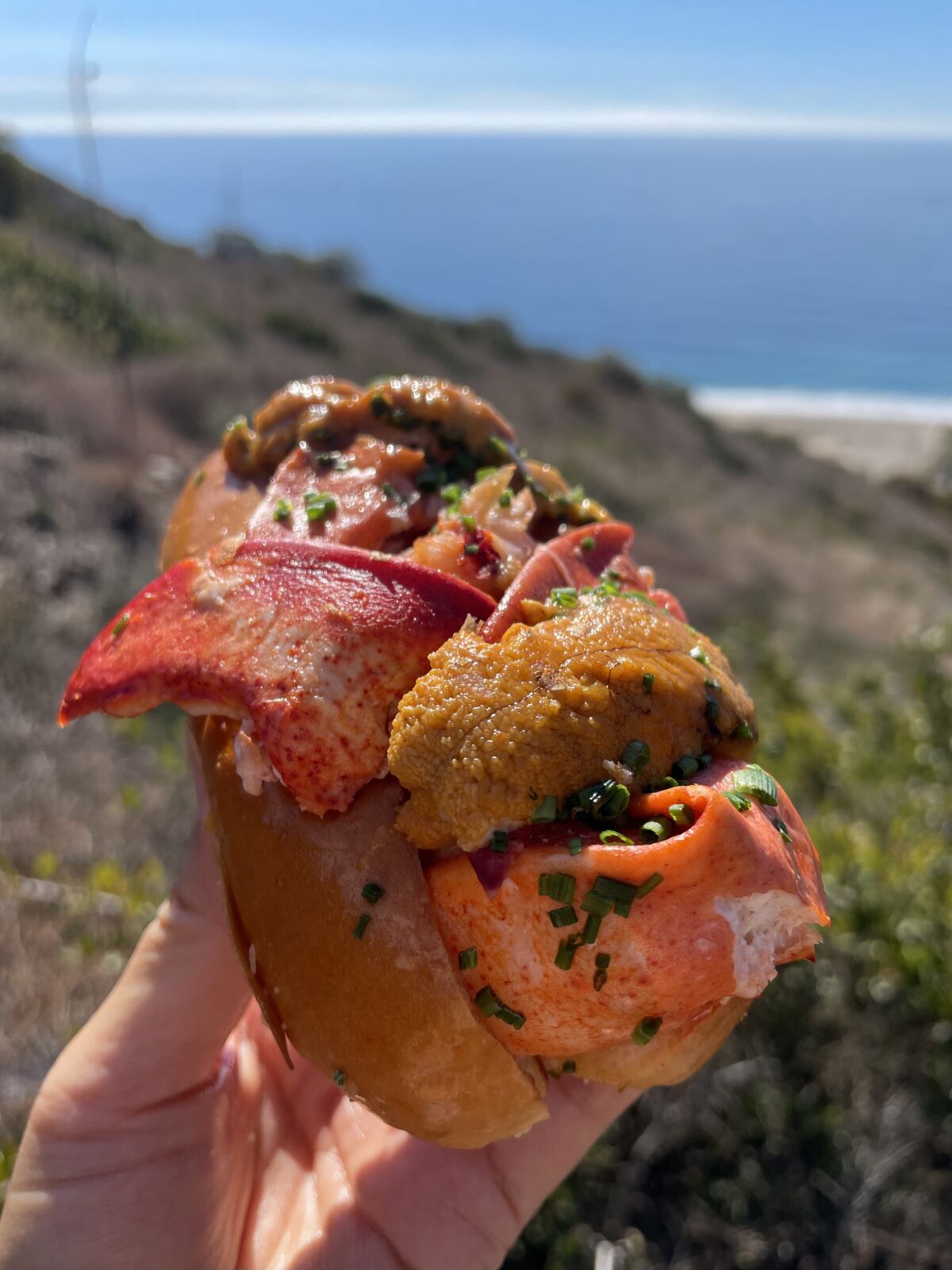 The warm lobster roll with butter from Broad Street Oyster Co. in Malibu is an excellent reward for bagging Mugu Peak.