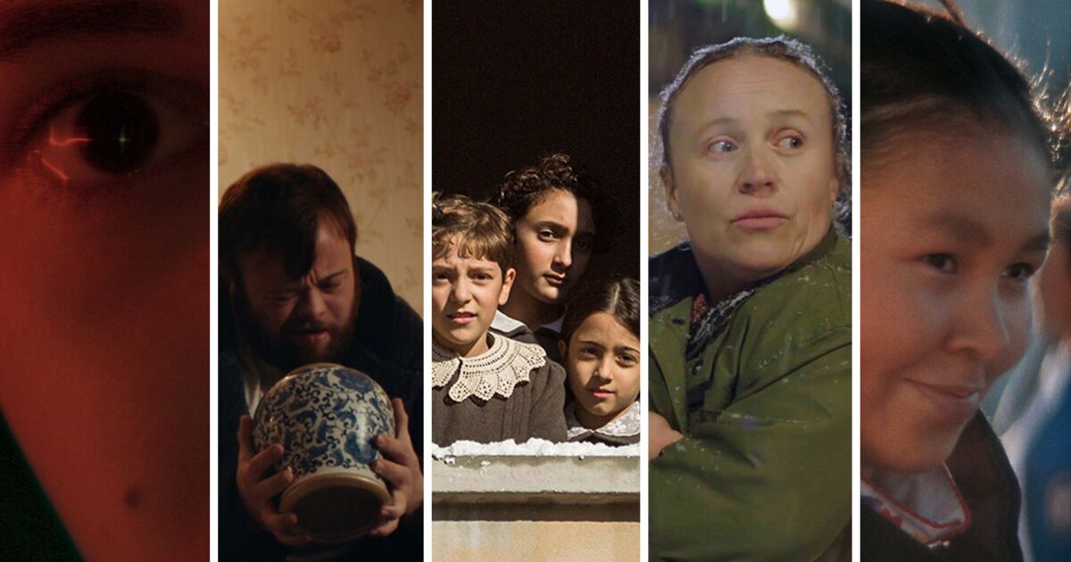 The live-action shorts: Playful Christmas tales, fraternal friction, a ‘visual poem’ and social strife