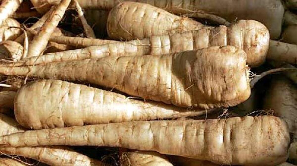 Parsnips are among the sweetest of the root vegetables.
