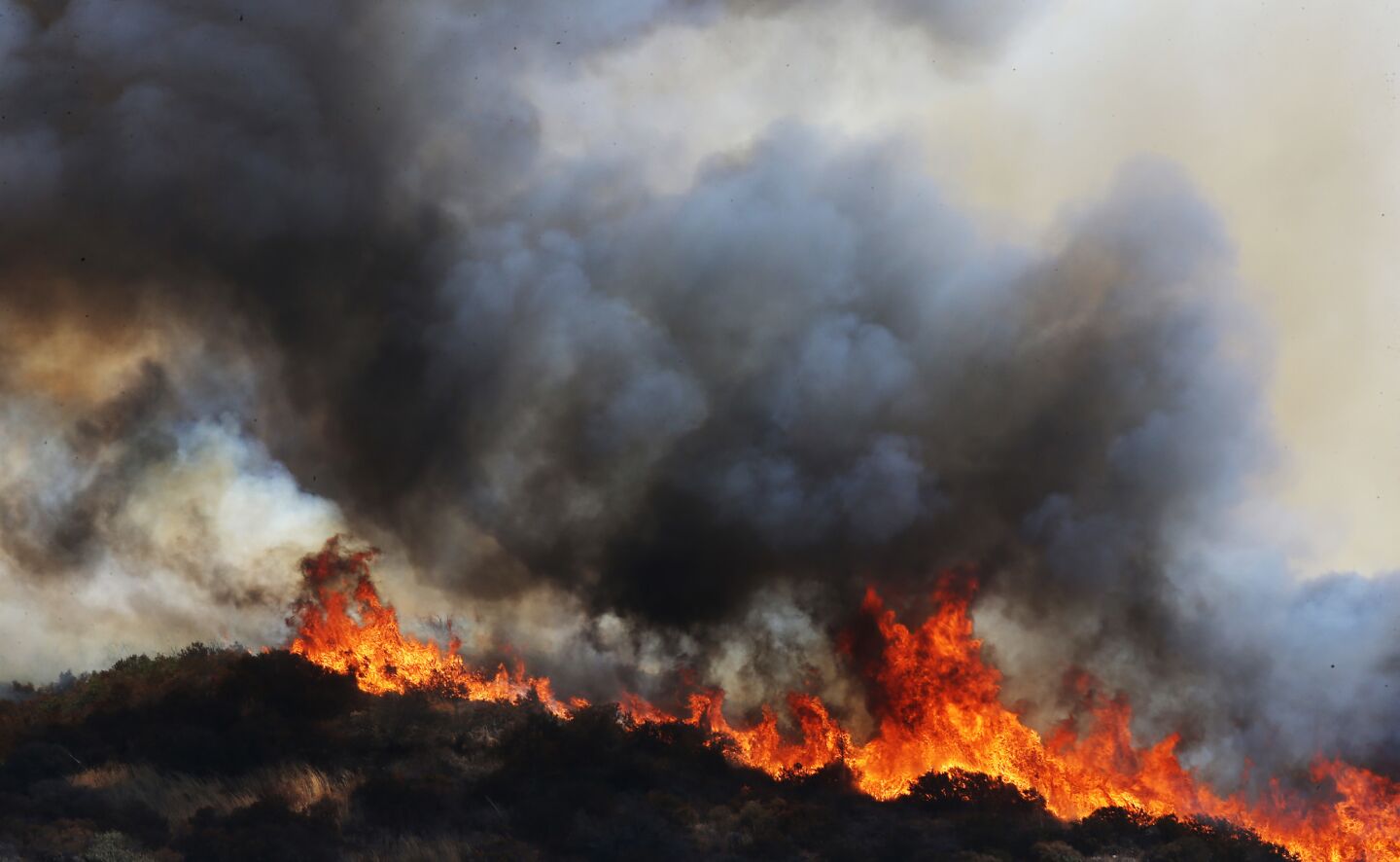 Towering flames of the Blue Cut fire burn out of control in the foothills of the San Bernardino National Forest above Lytle Creek.