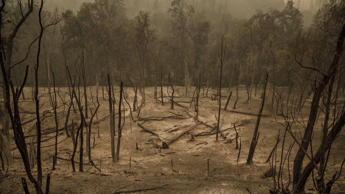 A landscape is charred by the spread of a wildfire outside Redding on Sunday.