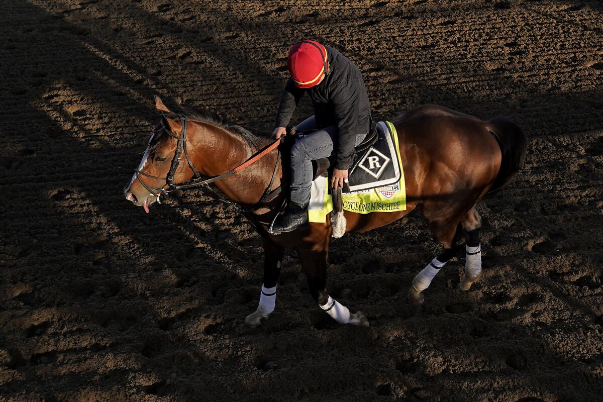 Cyclone Mischief works out at Churchill Downs on Wednesday