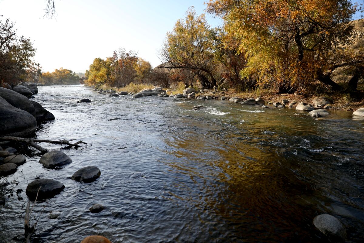 The Kern River with rocks and trees on its banks