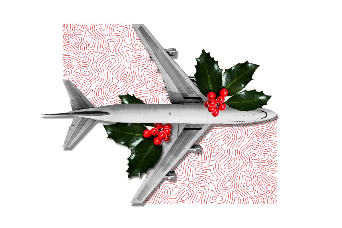 Illustration of a plane and mistletoe