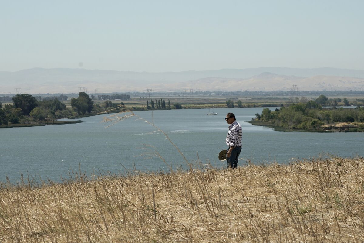 Al Medvitz, who farms alfalfa and other crops, looks out over Sacramento River from a hill on his land near Rio Vista, Calif., on Monday, July 25, 2022. In dry winters like the one California just had, less fresh water flows down from the mountains into the Sacramento River, the state's largest. Medvitz wants approval from the state to build a small reservoir on the property to store fresh water for use in dry times. (AP Photo/Rich Pedroncelli)