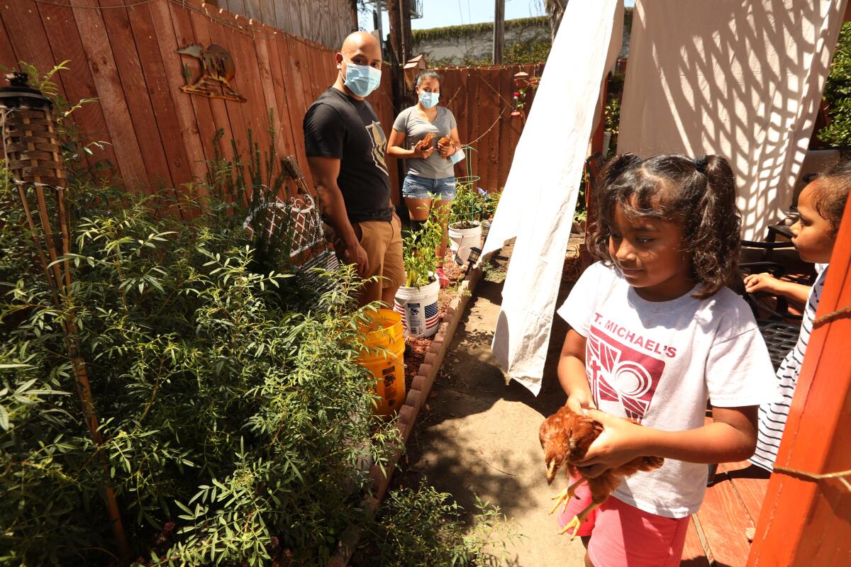 The Mejia family work their garden in South Los Angeles.