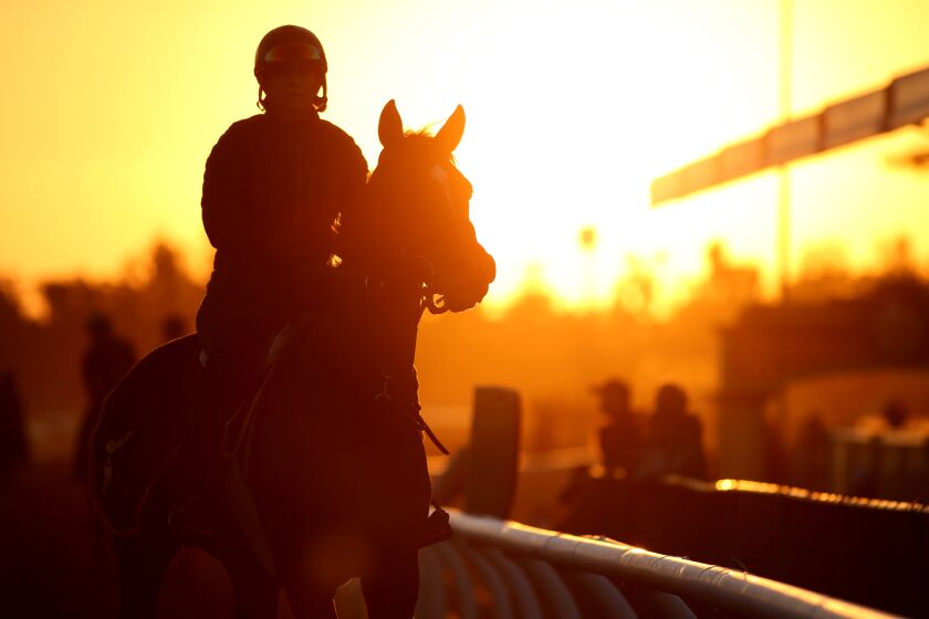 Silhouetted horses on track in the morning in preparation on Oct. 27 for the Breeders' Cup at Santa Anita Park.