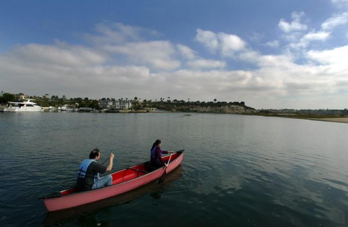A file photo shows canoeists paddling in the Upper Newport Bay.