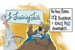 Cartoon on UCLA Bruins.