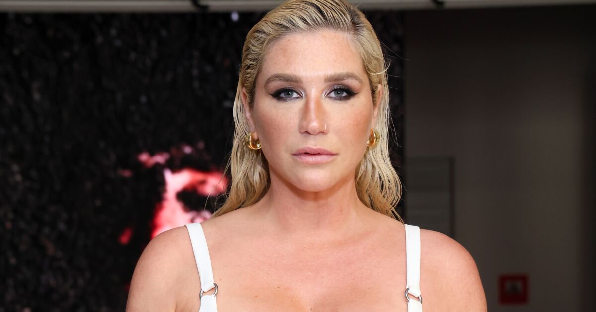 Kesha and Dr. Luke settle defamation lawsuit more than rape allegations