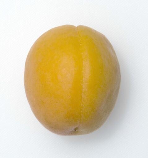Fruit breeders are creating complex interspecific hybrids. The possibilities are promising, but what to call them? Here's a look at some traditional fruits, and some offbeat varieties. Above: Patterson apricot, the standard commercial variety; sample bought from Pavilions supermarket in West Hollywood.