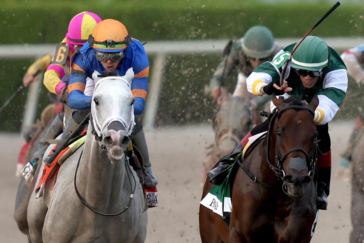 White Abarrio (left), ridden by Tyler Gaffalione, and Pappacap, ridden by Edwin Gonzalez, race at the Florida Derby.