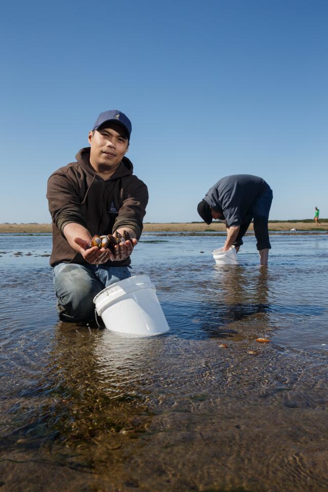 Clamming and crabbing in Oregon