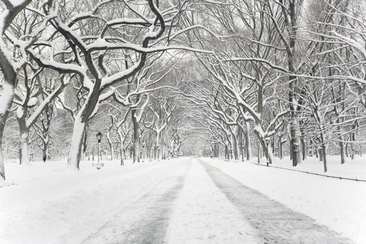 Snow covers a road in Central Park in New York City.