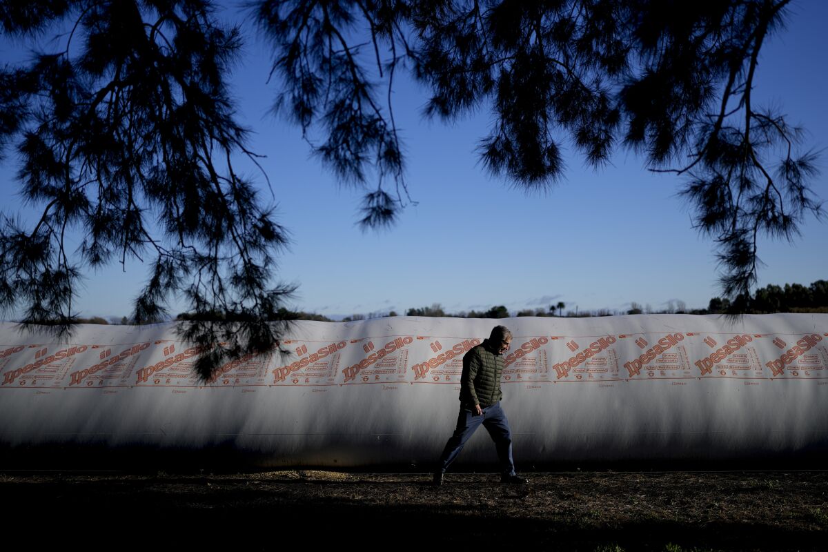 El productor agropecuario argentino Walter Malfatto camina junto a una silobolsa