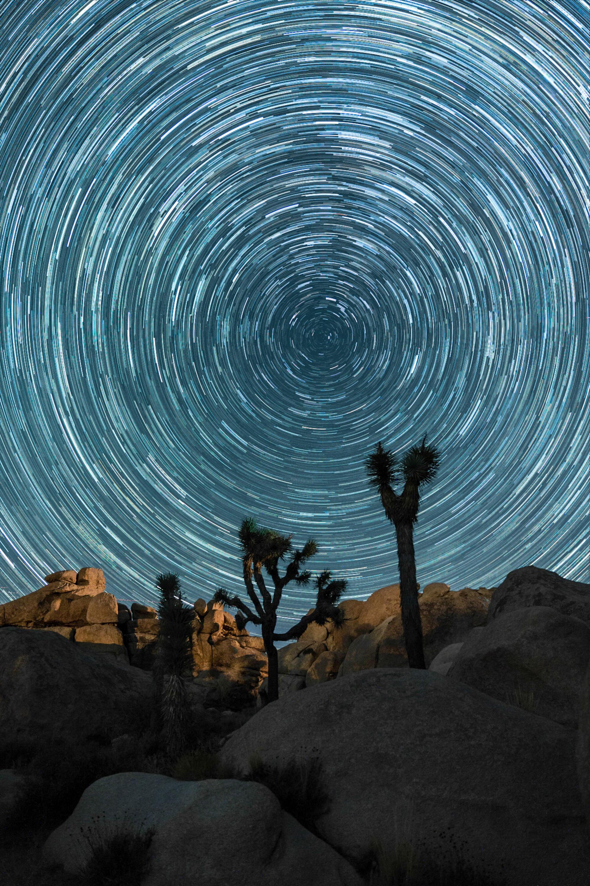 A composite of star photos, made with the software Starry Sky Stacker.