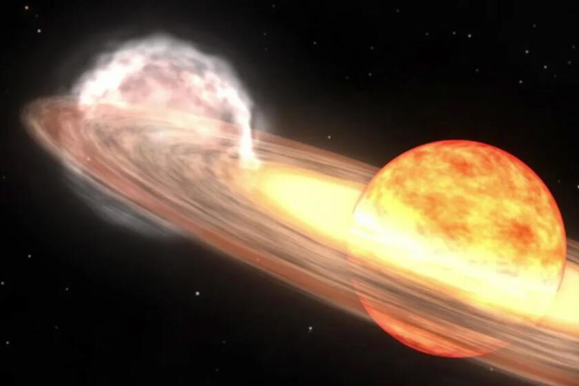NASA-A red giant star and white dwarf orbit each other in this animation of a nova similar to T Coronae Borealis. The red giant is a large sphere in shades of red, orange, and white, with the side facing the white dwarf the lightest shades. The white dwarf is hidden in a bright glow of white and yellows, which represent an accretion disk around the star. A stream of material, shown as a diffuse cloud of red, flows from the red giant to the white dwarf. When the red giant moves behind the white dwarf, a nova explosion on the white dwarf ignites, creating a ball of ejected nova material shown in pale orange. After the fog of material clears, a small white spot remains, indicating that the white dwarf has survived the explosion. (NASA/Goddard Space Flight Center)