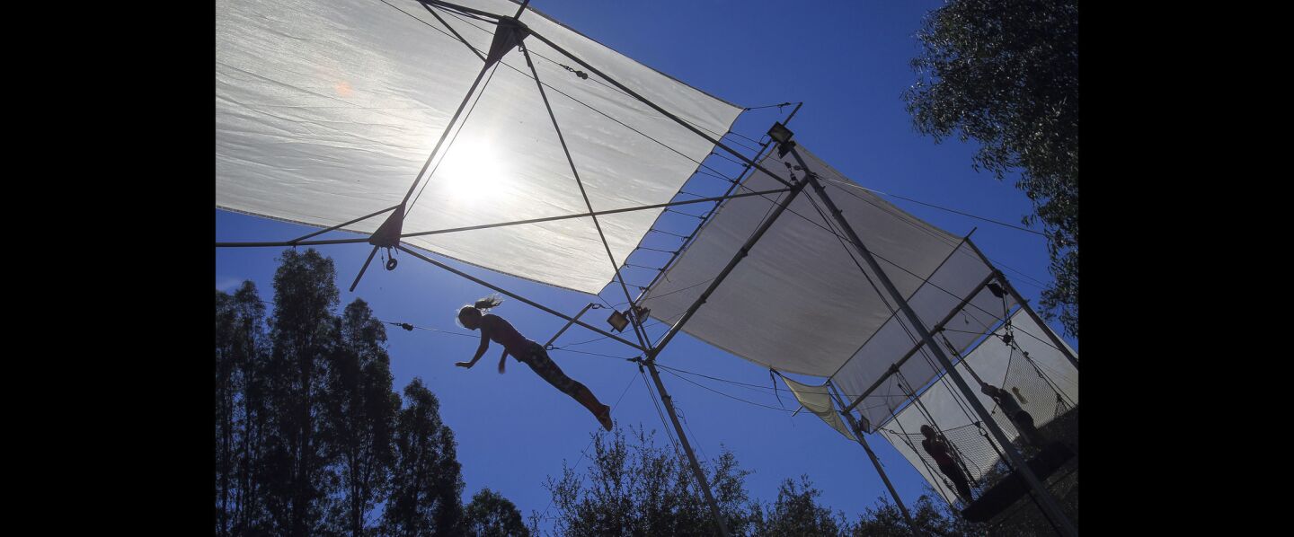 Sharon Mattingley lets go of the trapeze to land in the net.
