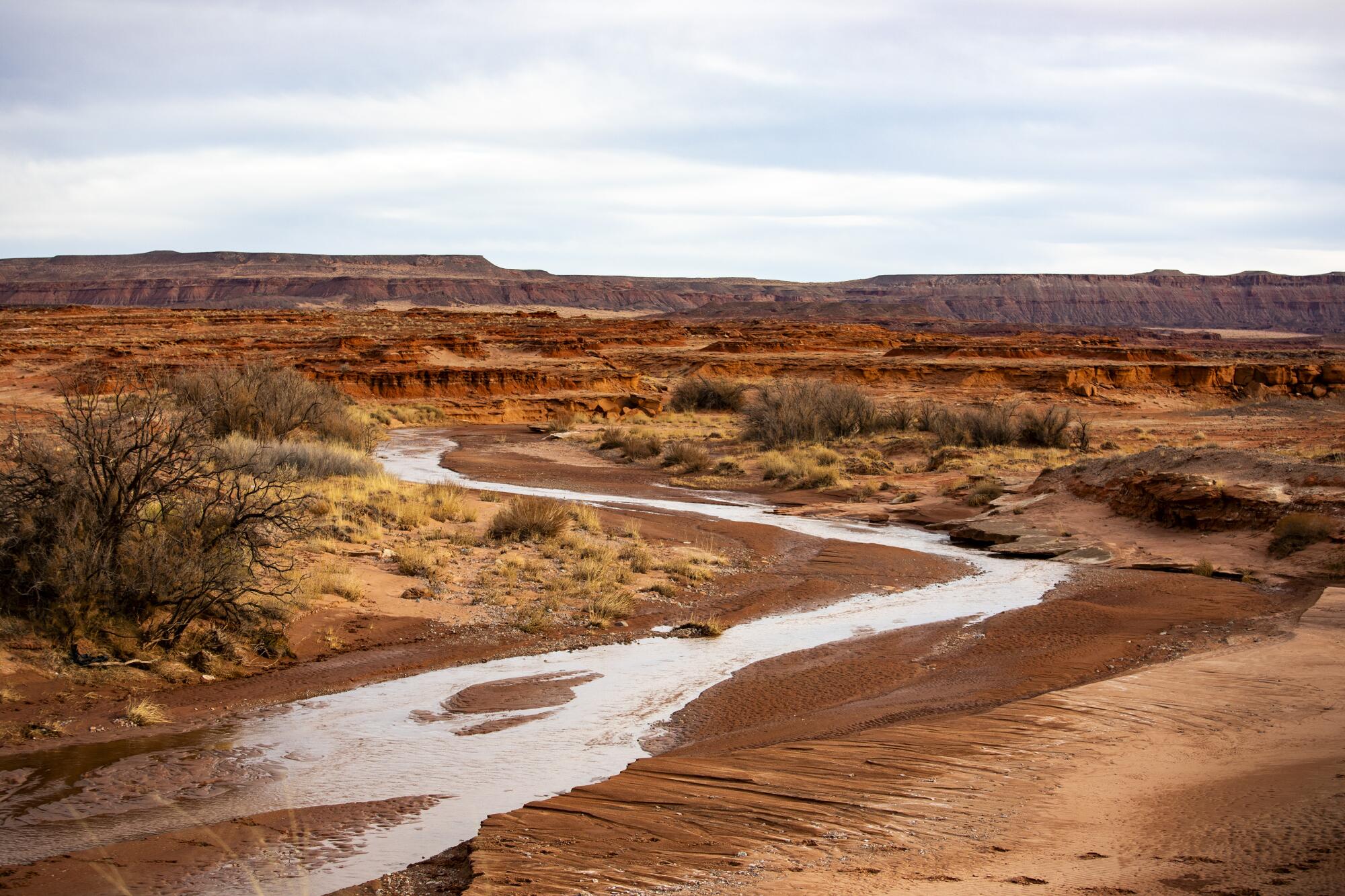 A stream winds trough a desert landscape as mesas rise in the background.