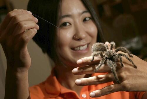 Cheryl Hayashi, associate professor of biology at UC Riverside, holds a rose-haired tarantula. Hayashi won a MacArthur "genius" grant for her studies of spider silk, which she says has been around for more than 300 million years. She's hoping to use the award money to study spiders in different parts of the world. "I know there are really cool silks out there," she says.