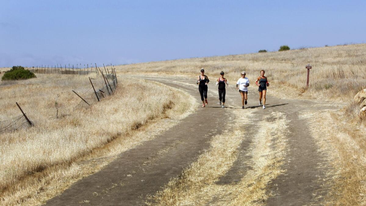 Runners on a trail in Hidden Hills.