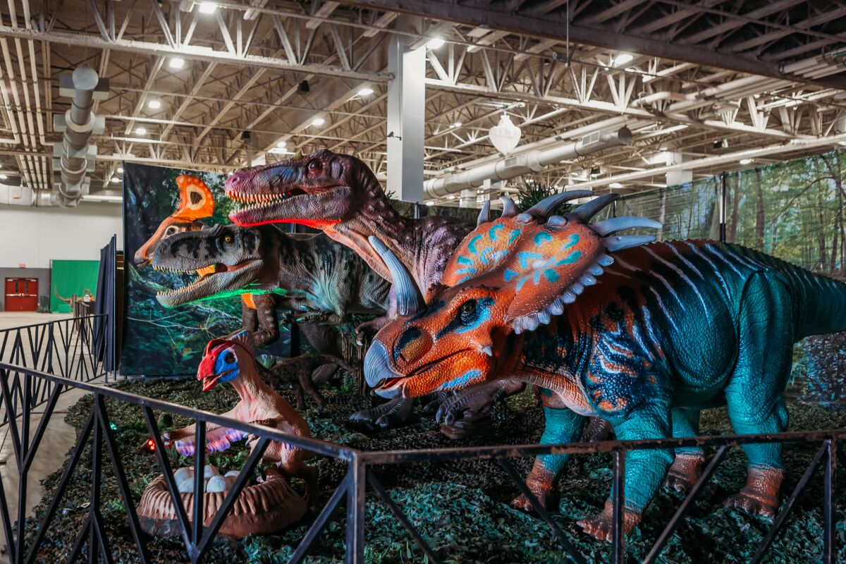 Colorful animatronic dinosaurs on display behind a fence