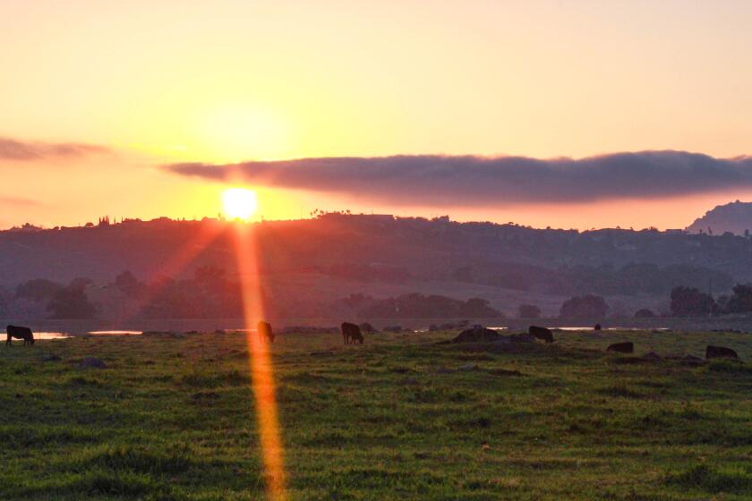 Michael Baldauf sent this photo of a sunset over the Ramona Grasslands Preserve.