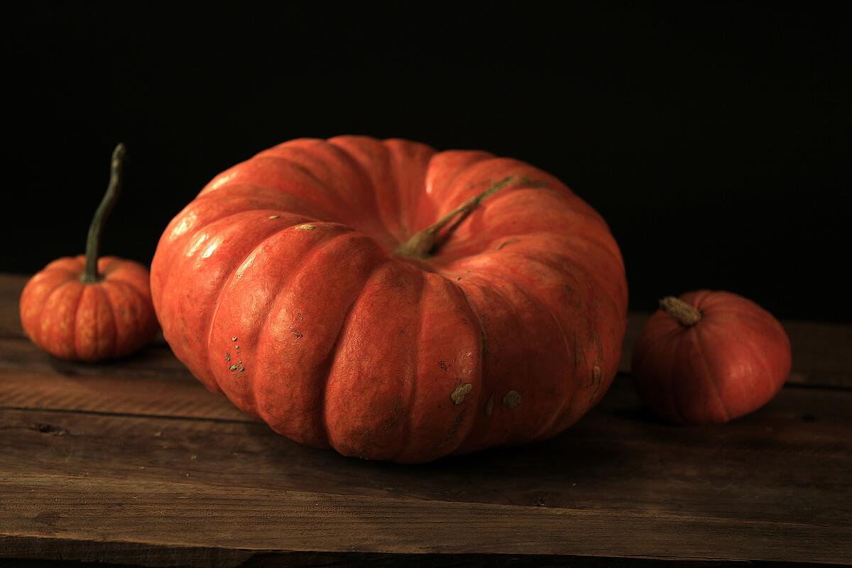 Fairytale pumpkin: An old French variety, the fairytale has a tough outer rind but a relatively small seed cavity, meaning there’s plenty of sweet, creamy meat.