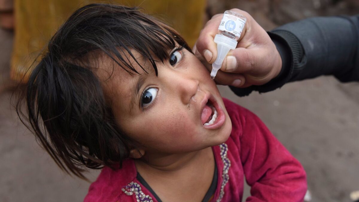 A health worker administers a polio vaccine to a child in Jalalabad, Afghanistan. The disease is still endemic in three countries: Afghanistan, Pakistan and Nigeria.