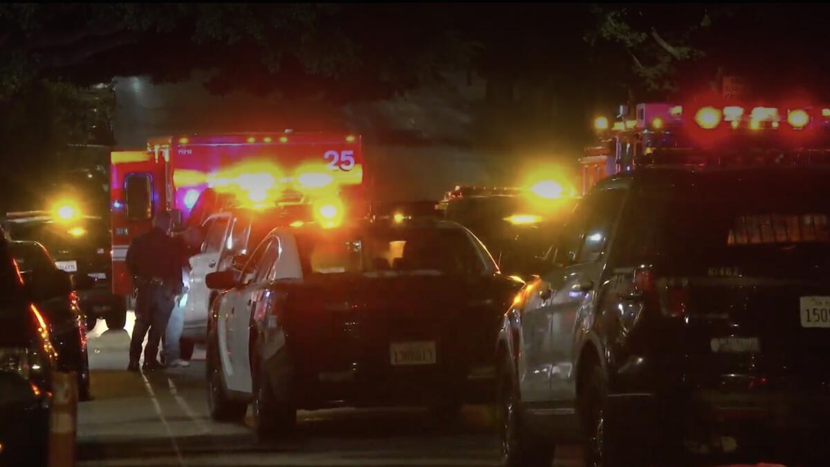 Emergency vehicles crowd a street at night.