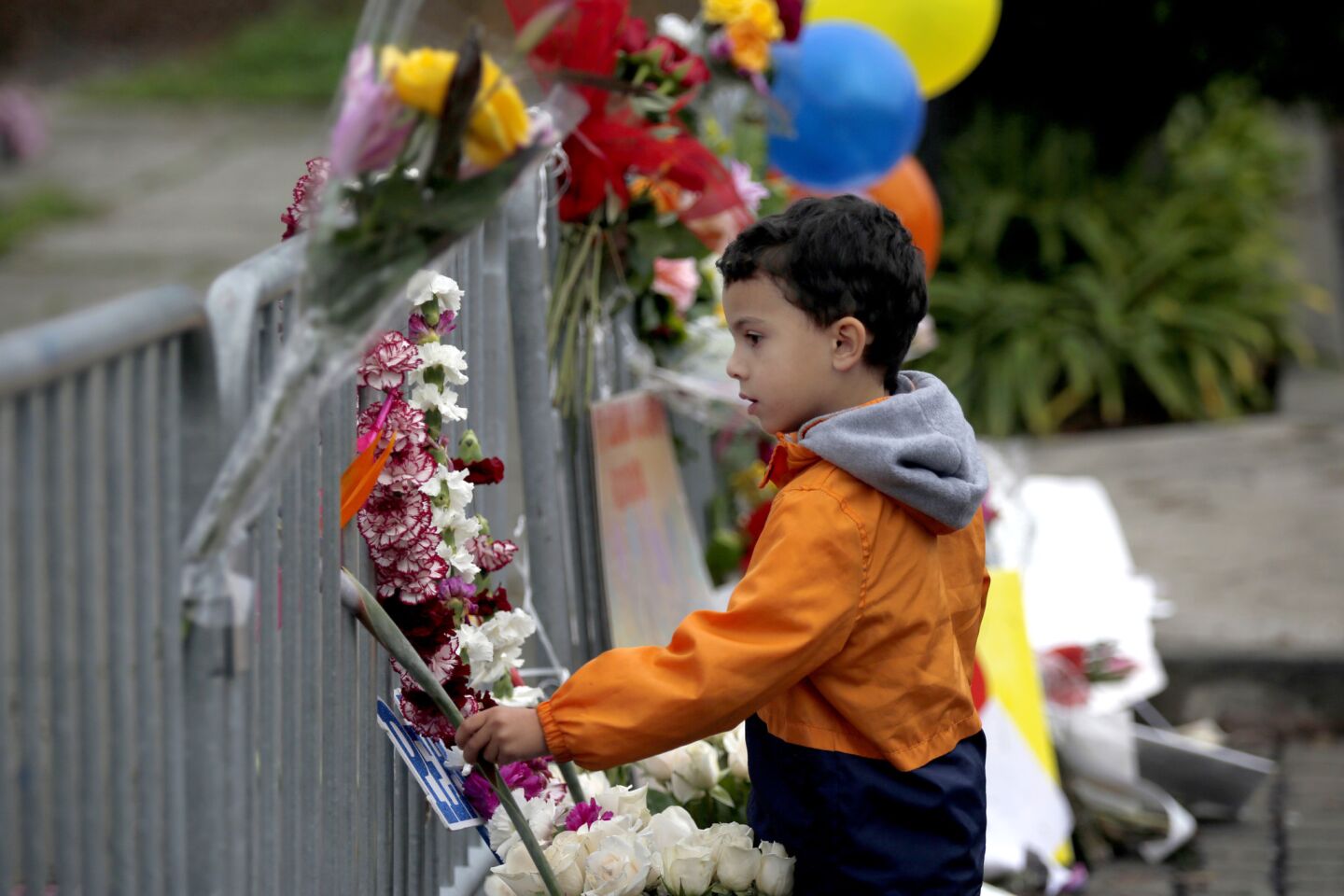 Titus Cromwell, 4, places a flower from his family's garden near the scene of the Ghost Ship warehouse fire in Oakland.