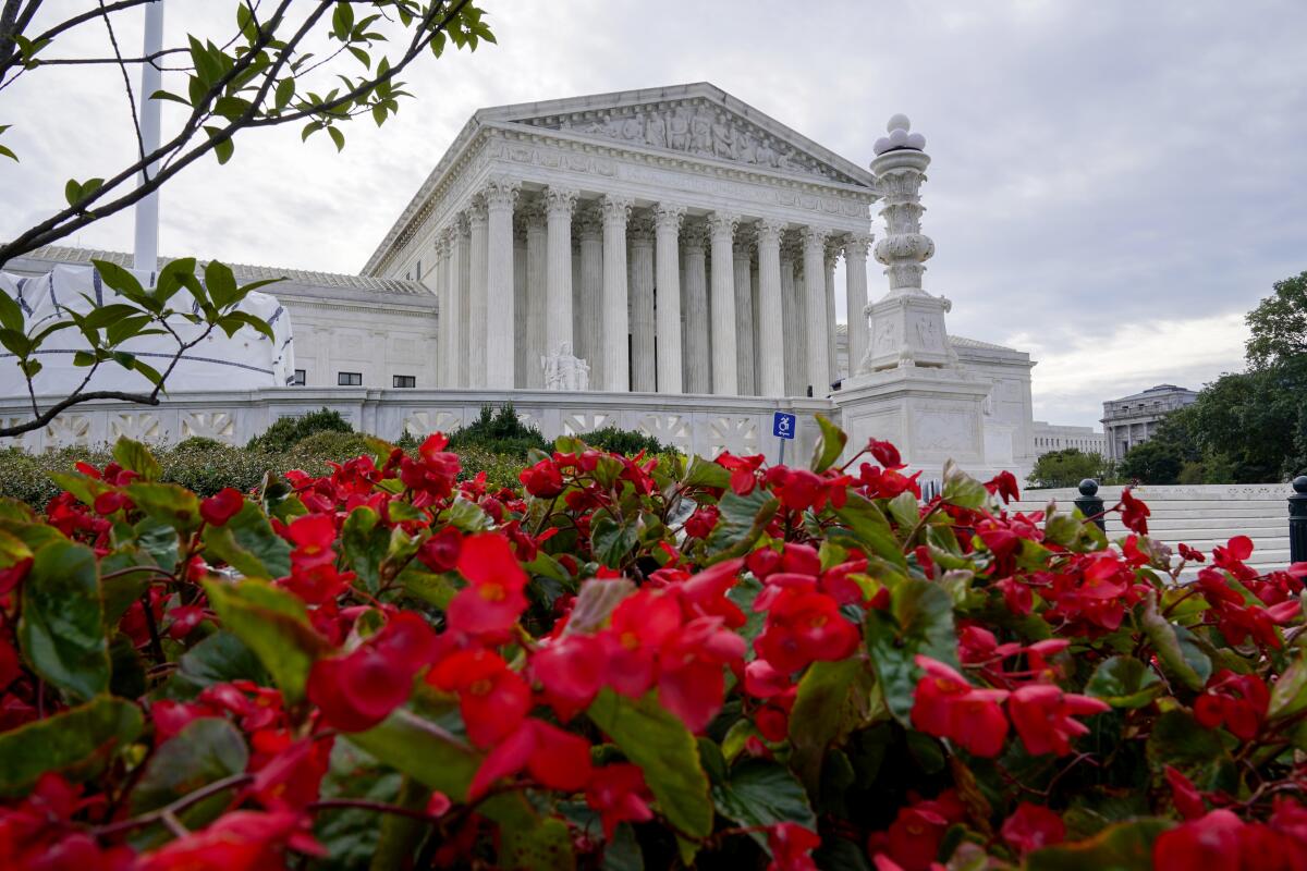 The front of the U.S. Supreme Court building, with tree branches and red-and-green shrubs in the foreground.