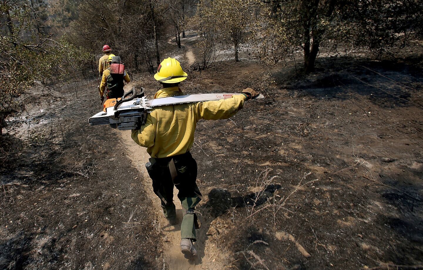 San Bernardino County firefighters walk through scorched terrain as they look for hot spots and fire-damaged trees around Idyllwild.