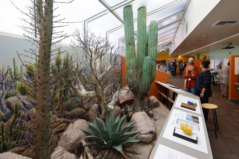 The San Diego Natural History Museum has opened Expedition Baja.