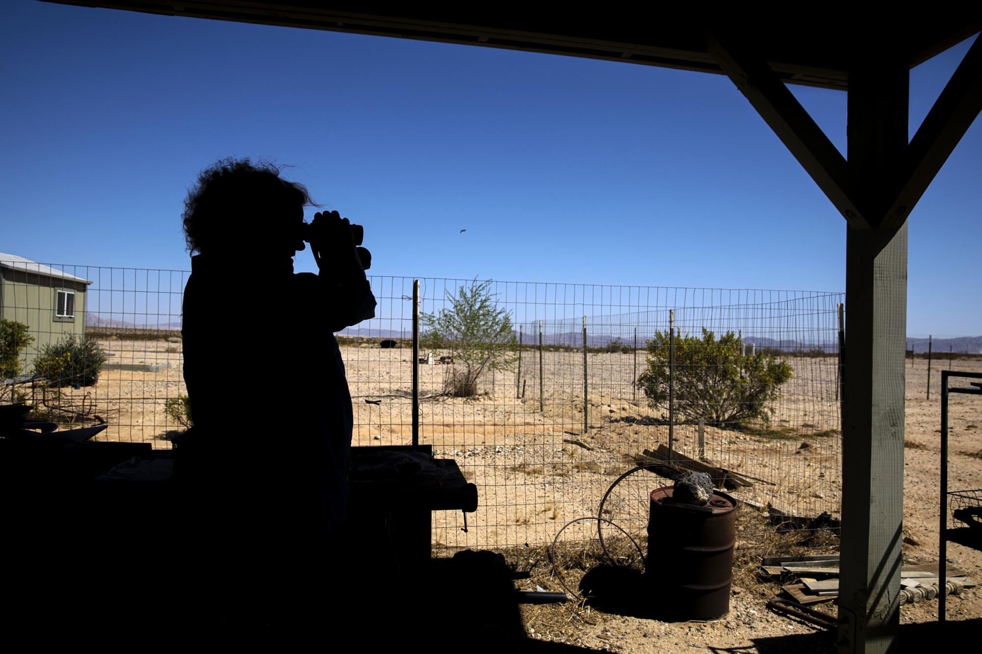 Patricia Horwath vigila los cultivos ilegales de marihuana cerca de su casa en Joshua Tree.