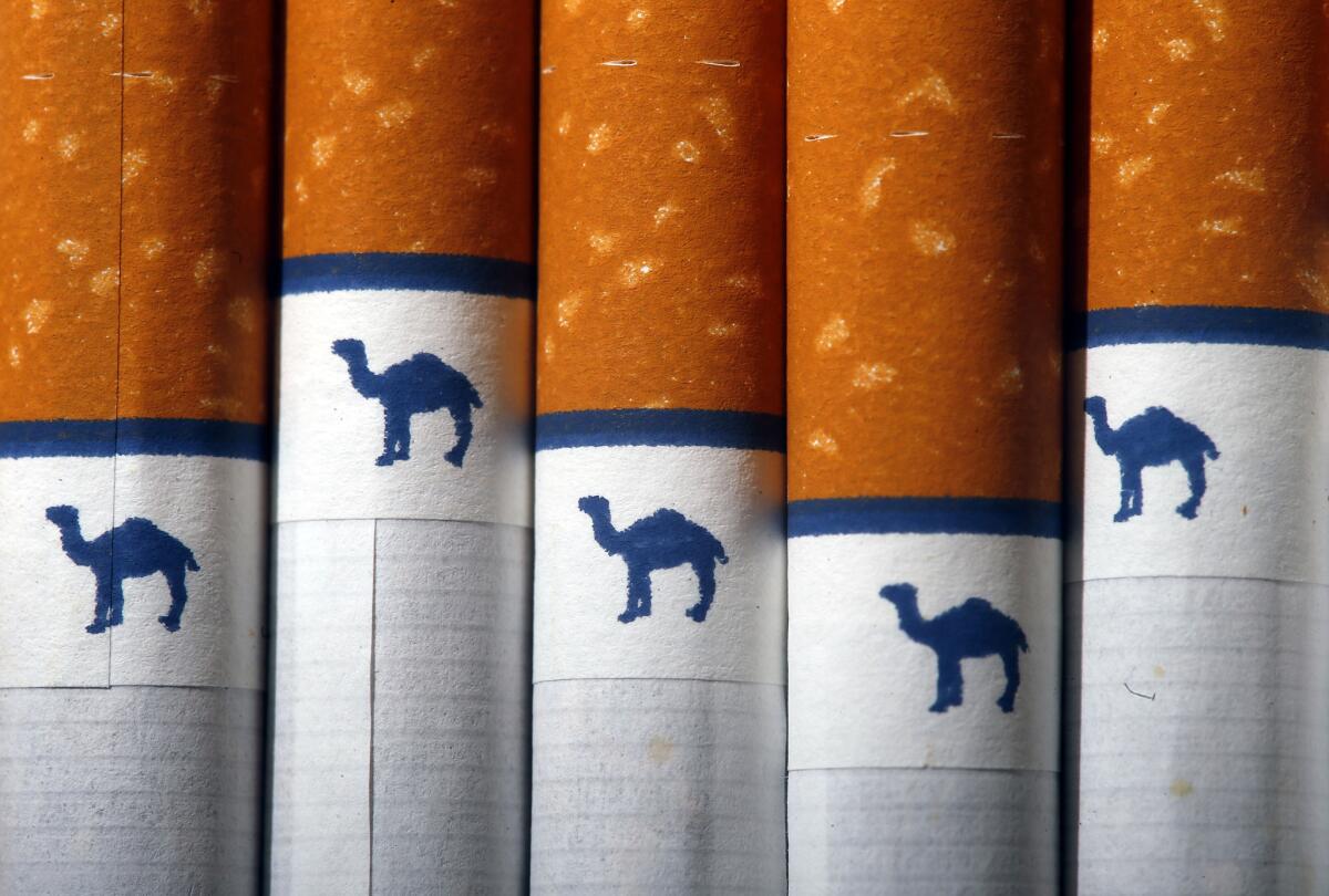 Reynolds American, which makes Camel cigarettes, told employees on Oct. 22 that traditional smoking would be forbidden in its offices starting next year.