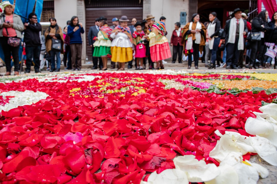 Las alfombras de flores no pueden faltar. Cada conjunto se levanta al alba para armar la suya y utilizan miles de flores. Horas más tarde la procesión pasa con la Virgen sobre ellas y eventualmente son retiradas con escobas y recogedores.