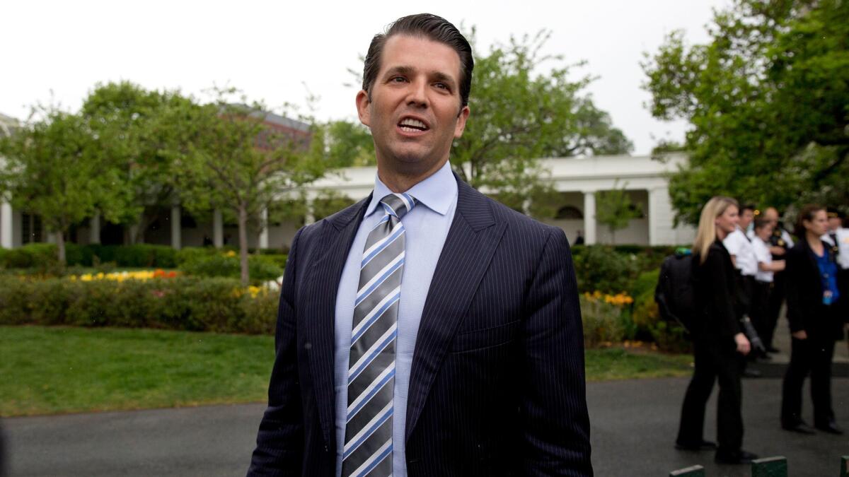 Donald Trump Jr. speaks to media on the South Lawn of the White House on April 17.