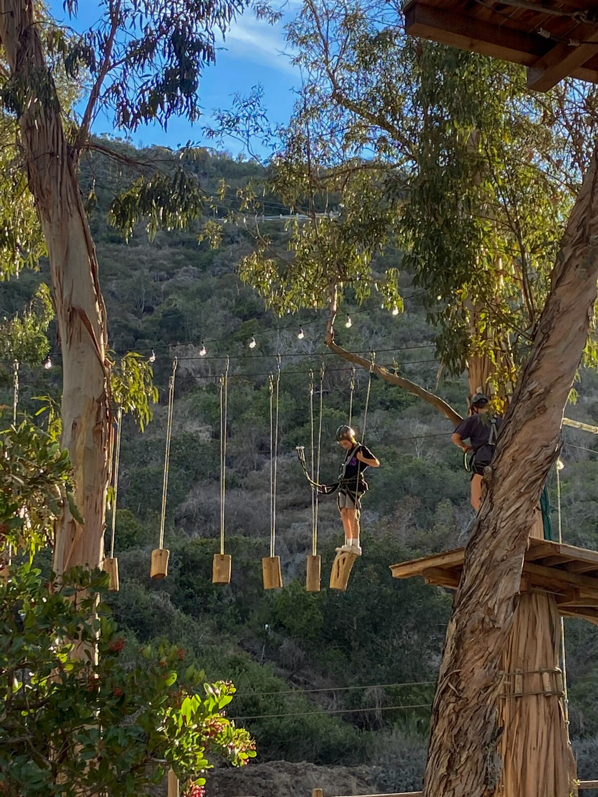 Person crossing a rope course steps on suspended log pieces at the Catalina Aerial Adventure.