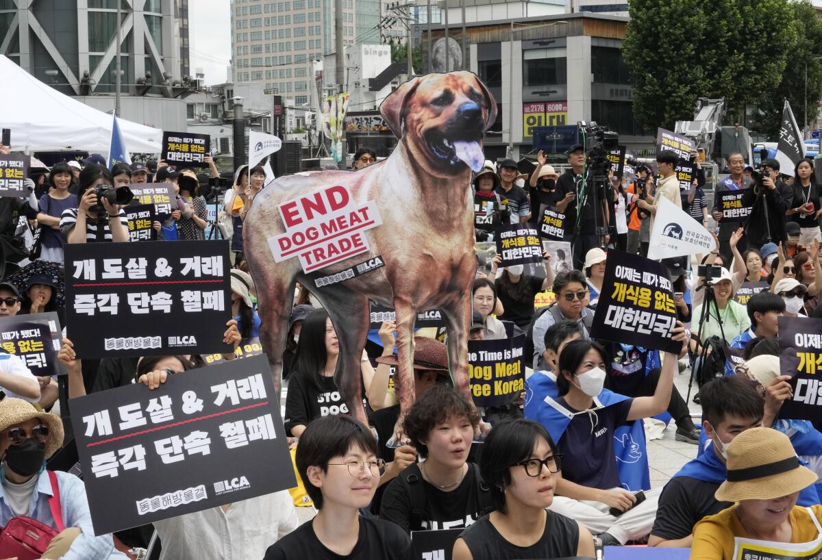 Animal rights activists protesting dog meat in Seoul