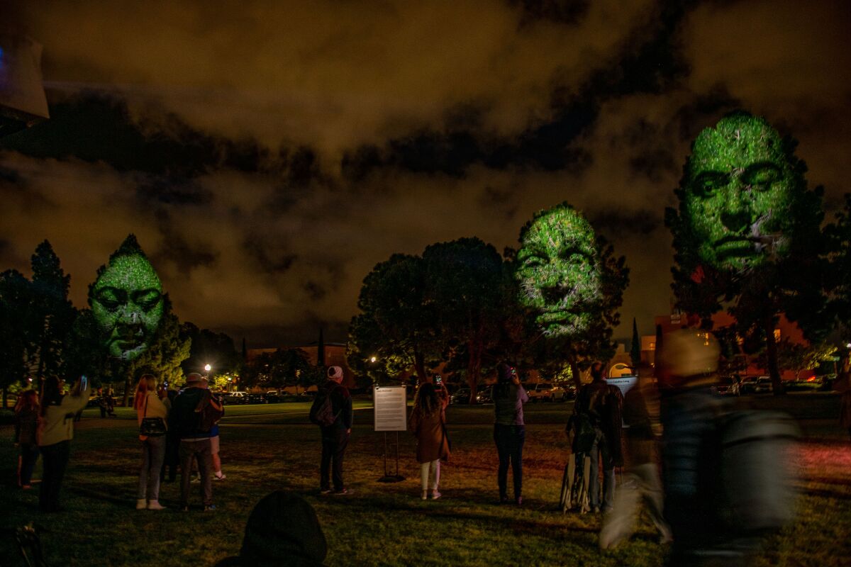 "Monuments" at the 2022 Without Walls Festival is a projection-mapped tree sculpture.