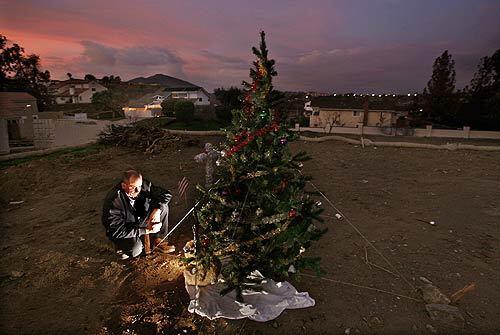 Steve Stout crouches next to a Christmas tree he and his family decorated on the Rancho Bernardo lot where their house stood before it was razed by wildfire in October. He said the tree represented hope to him and his family, which spent the holidays with relatives in Maryland. "All we lost were things," he said. "Nobody was hurt -- that's what is important. Family is important; things can be replaced."