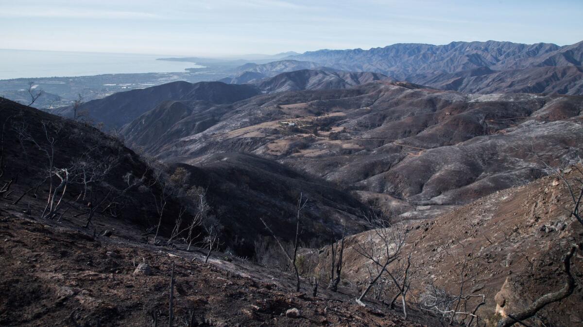 The hills above Carpinteria that were burned in the Thomas fire.