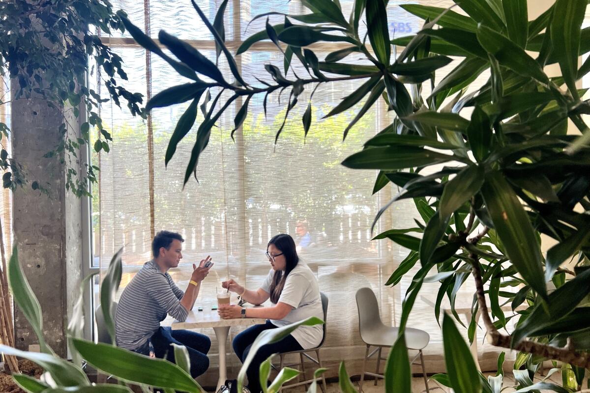 A man and a woman sit at a table in the plant-filled lobby of the Line Hotel.