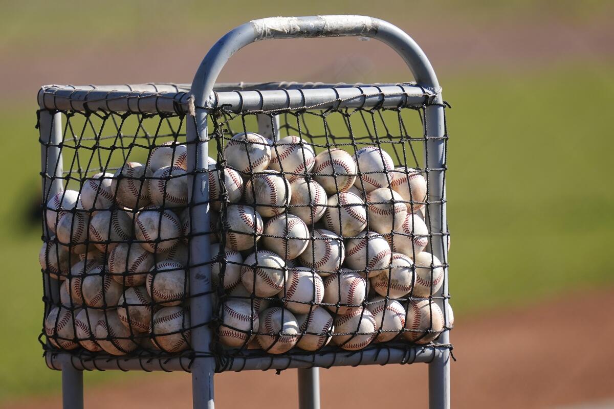 A basket of baseballs wait for drills to begin during minor league spring training workouts for the Chicago Cubs.