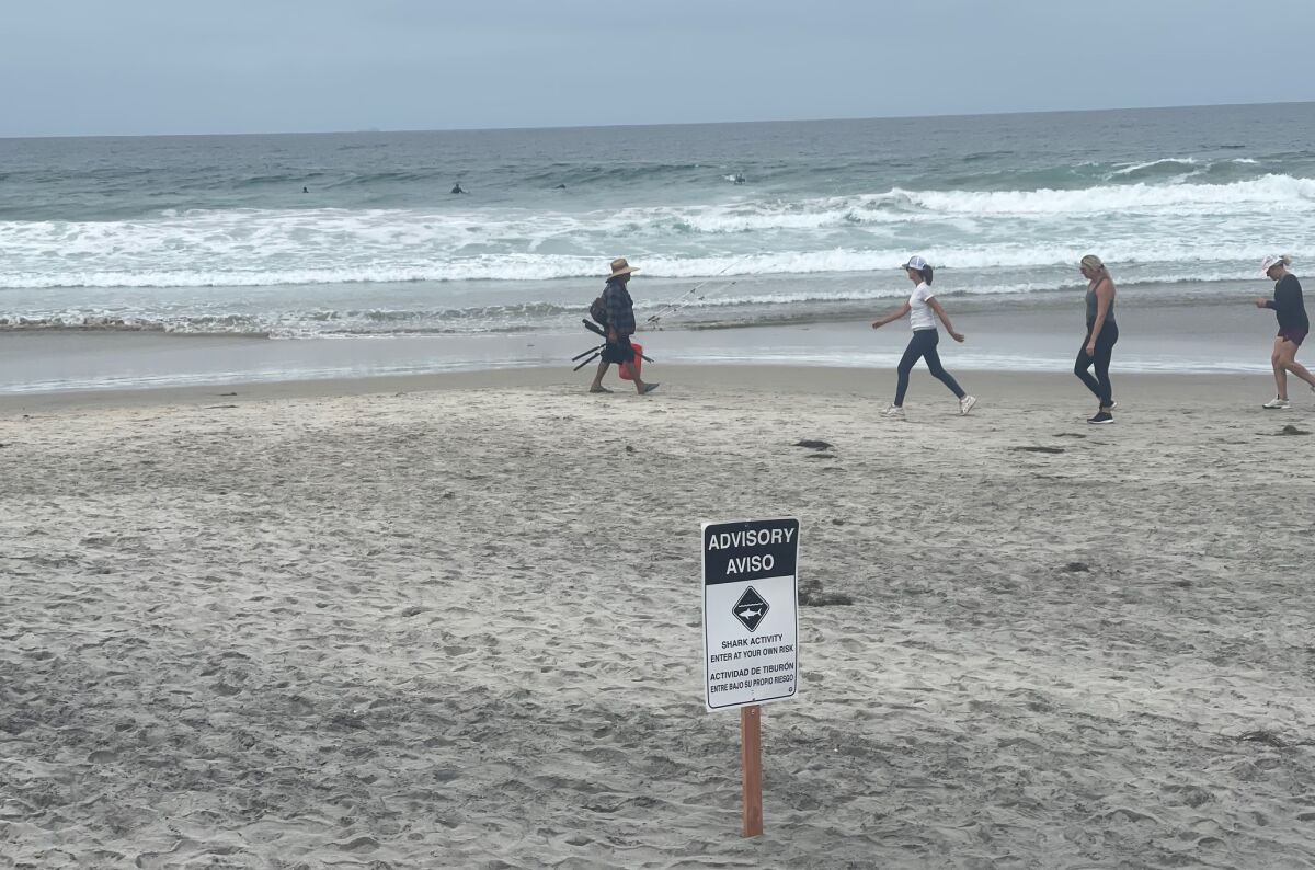 A shark advisory was posted recently at Torrey Pines State Beach after a 10- to 12-foot shark was reported near divers.