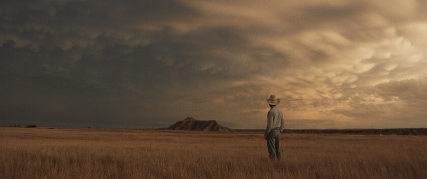 A man in a cowboy hat stands in an expansive field.